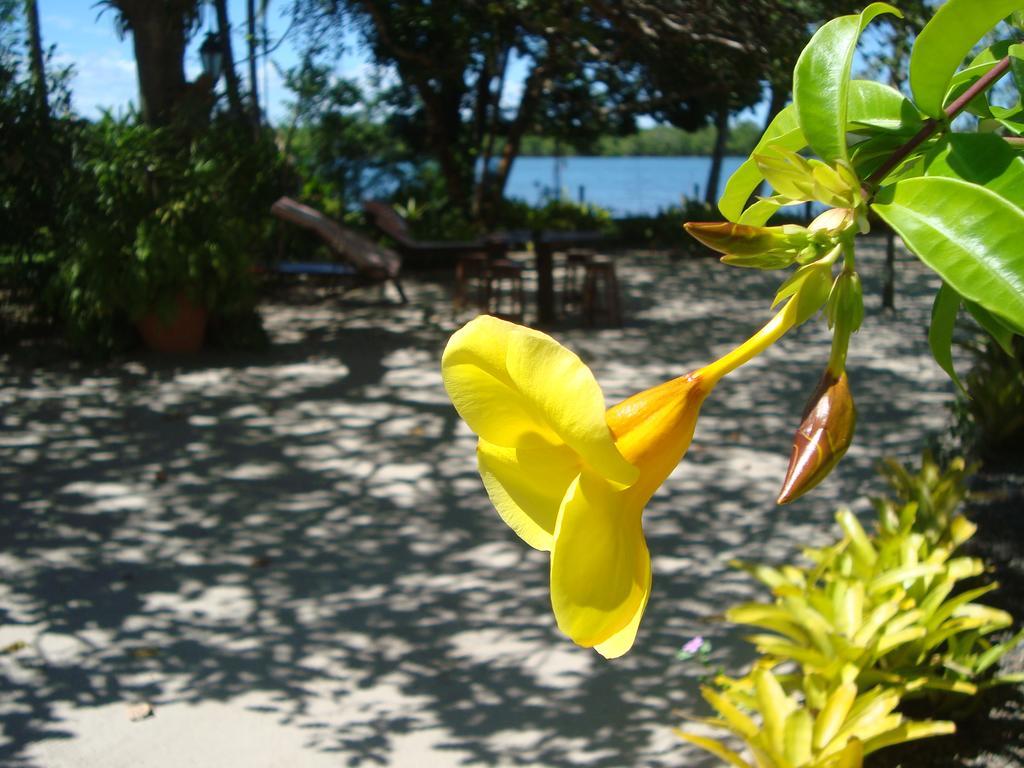 Pousada Arcadia Itacaré Buitenkant foto